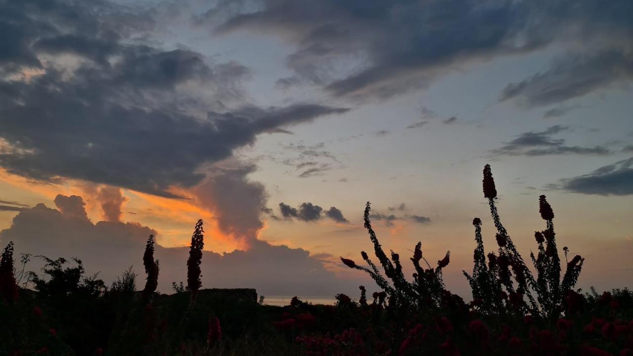 Phaedrus Living: Seaview Luxury Villa Venus Paphos ภายนอก รูปภาพ